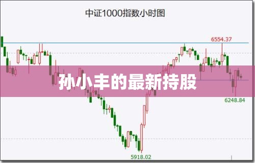 孙小丰的最新持股，孙小丰最新持股变动
