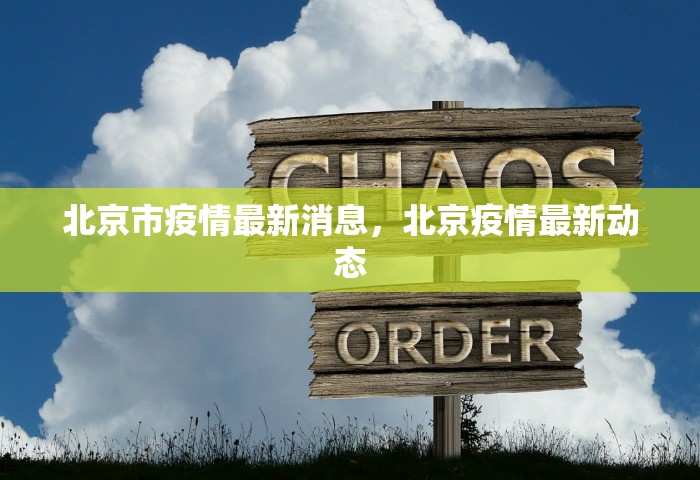 洛阳市今天有一例阳性病例吗，洛阳今日新增1例阳性病例？