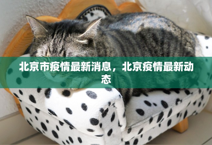 房卡全了解“微信炸 金花链接房卡购买”获取房卡教程-哔哩哔哩