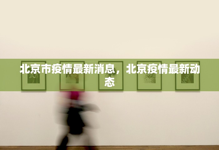 北京市摇号结果查询官网，北京小客车指标摇号结果查询官网入口