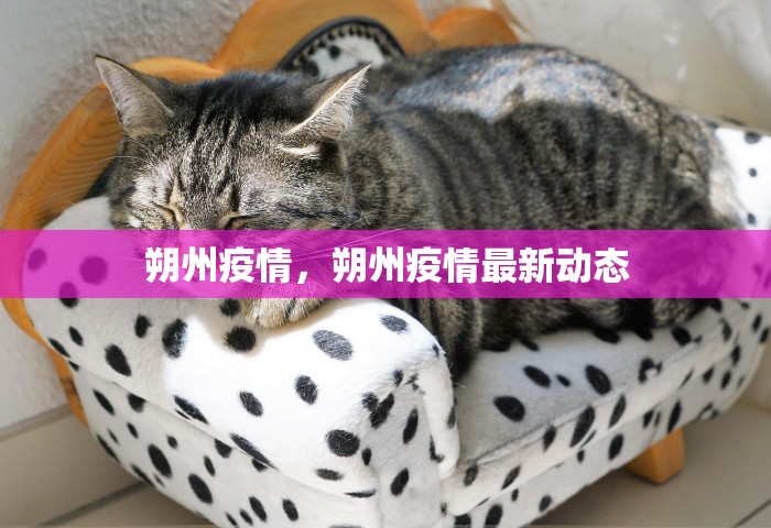 郑州市发布最新通告，郑州市最新通告