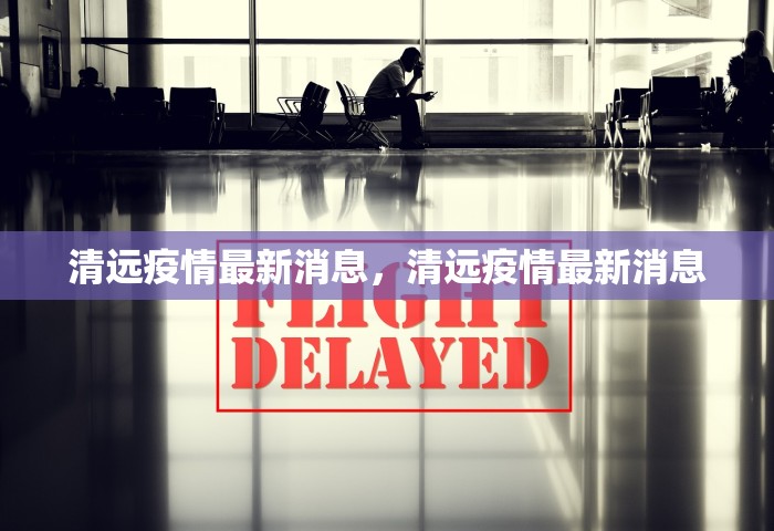 31省新增本土确诊4例，31省新增本土确诊4例
