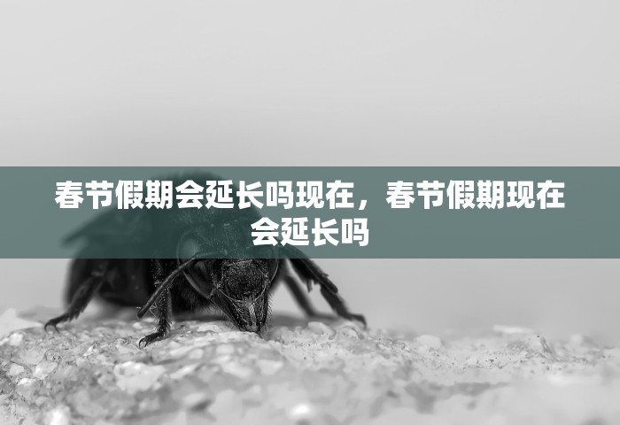 春节假期会延长吗现在，春节假期现在会延长吗