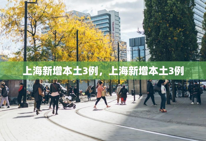 上海新增本土3例，上海新增本土3例