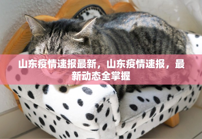 北京新增病例，北京新增病例通报