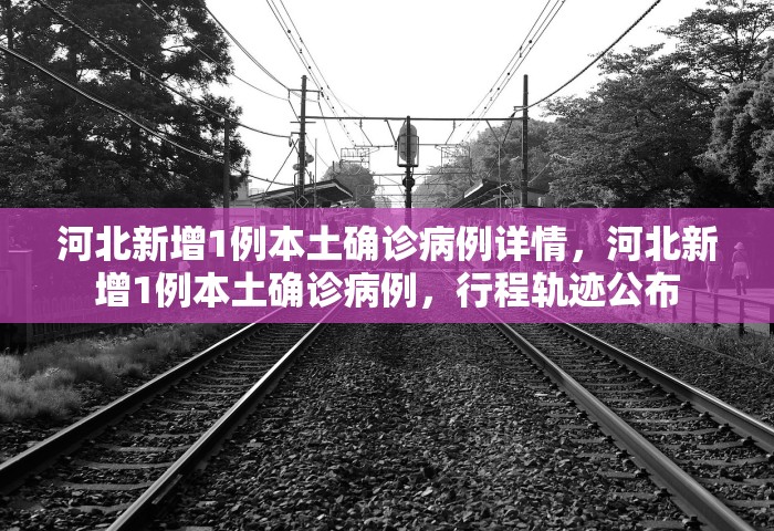 河北新增1例本土确诊病例详情，河北新增1例本土确诊病例	，行程轨迹公布