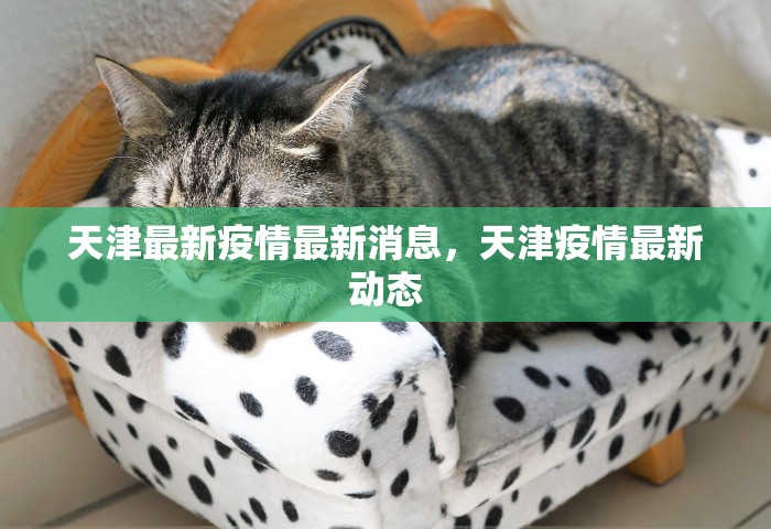 一分钟介绍“微信群链接炸 金花房卡去哪里购买	”详细房卡怎么购买方式