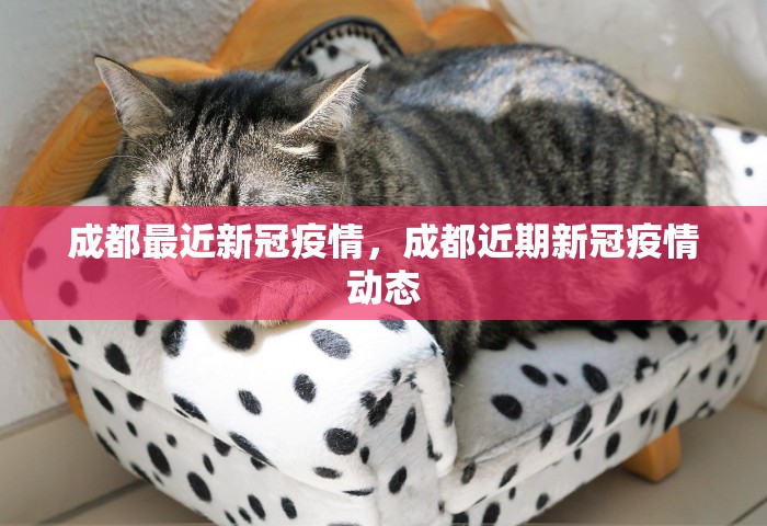 浙江嘉兴疫情最新情况，浙江嘉兴疫情最新情况通报