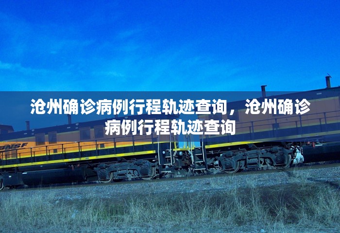 沧州确诊病例行程轨迹查询	，沧州确诊病例行程轨迹查询