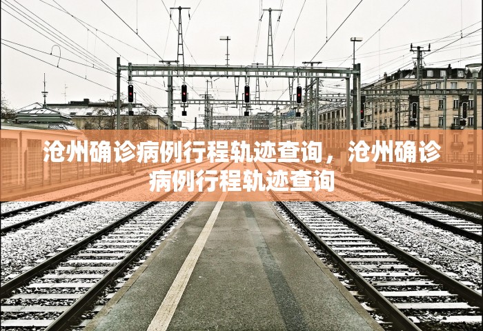 沧州确诊病例行程轨迹查询，沧州确诊病例行程轨迹查询