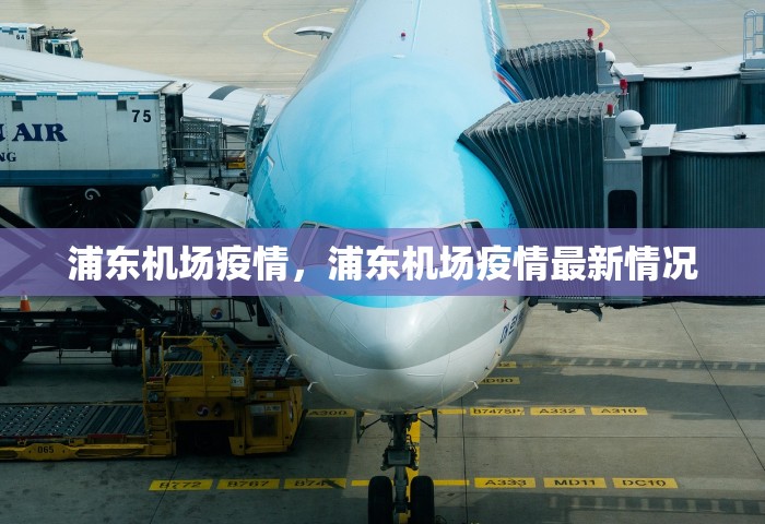 浦东机场疫情，浦东机场疫情最新情况