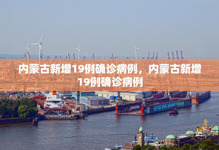 内蒙古新增19例确诊病例，内蒙古新增19例确诊病例