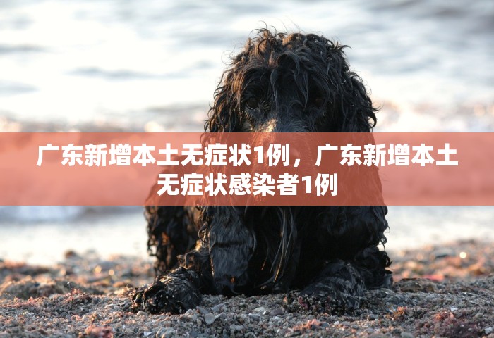上海新增本土确诊3例无症状45例，上海新增本土确诊3例无症状45例