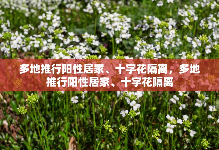 多地推行阳性居家、十字花隔离，多地推行阳性居家	、十字花隔离