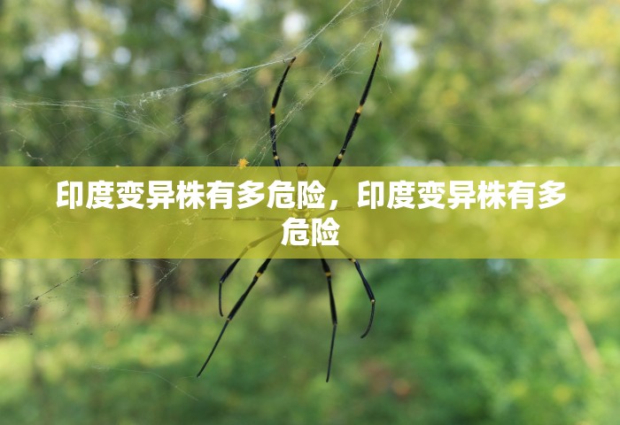 印度变异株有多危险，印度变异株有多危险