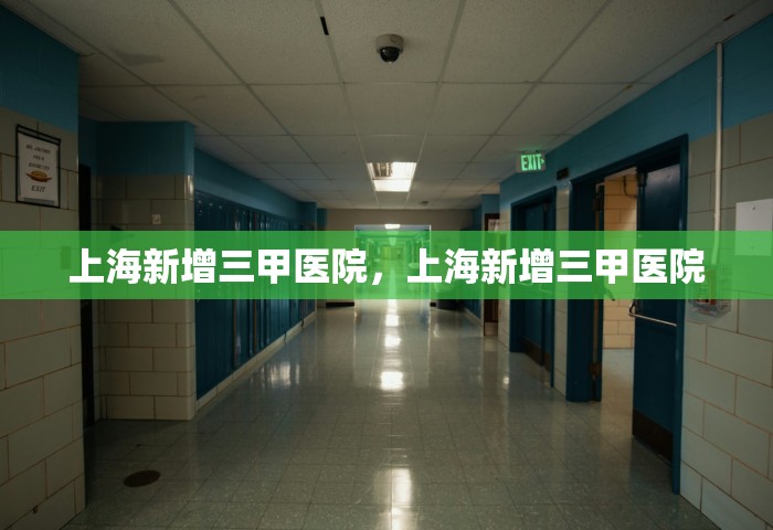 上海新增三甲医院，上海新增三甲医院