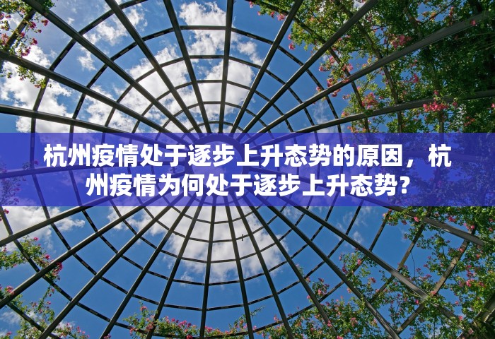 杭州疫情处于逐步上升态势的原因，杭州疫情为何处于逐步上升态势？