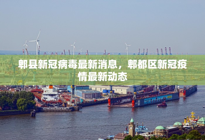 西安增1例本土确诊 系外省来陕人员，西安新增1例本土确诊病例 系外省来陕人员