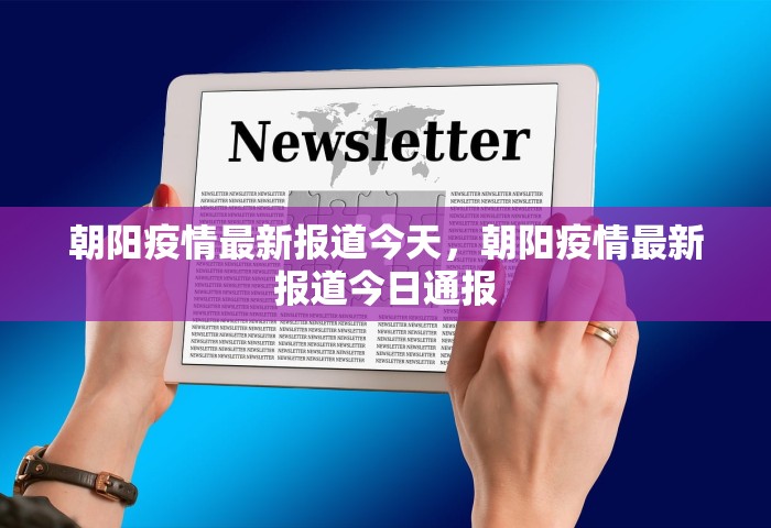 31省份新增本土确诊，31省份新增本土确诊情况