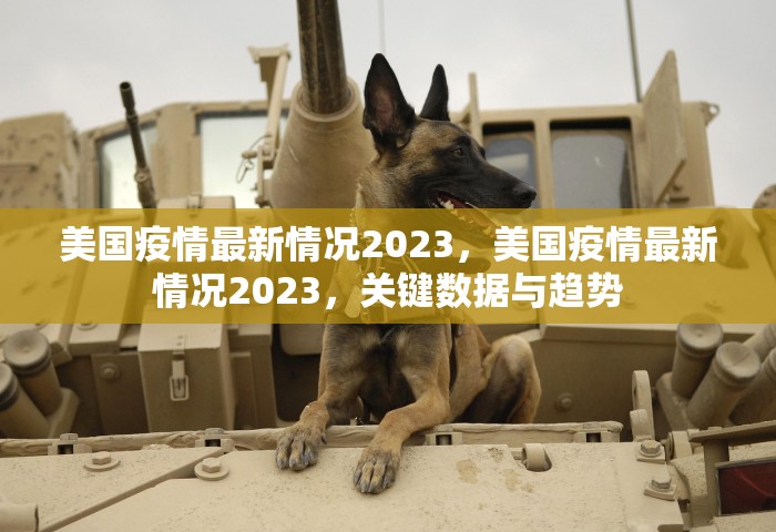 2024返乡政策最新查询，2024年最新返乡政策查询指南