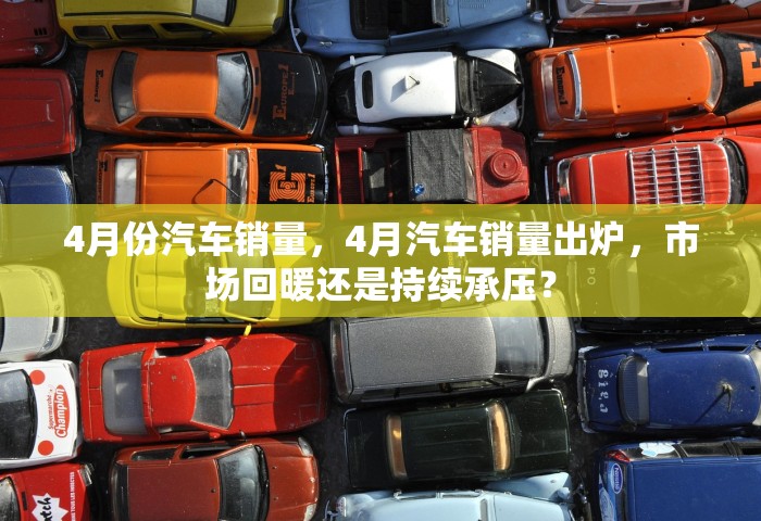 31省新增本土确诊病例的原因分析，31省新增本土确诊病例原因探析