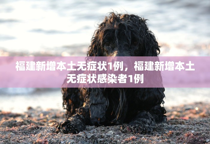 31省区市新增本土确诊3例，31省区市新增本土确诊3例