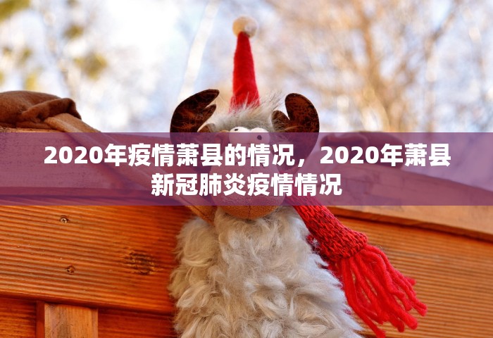 2020年疫情萧县的情况，2020年萧县新冠肺炎疫情情况