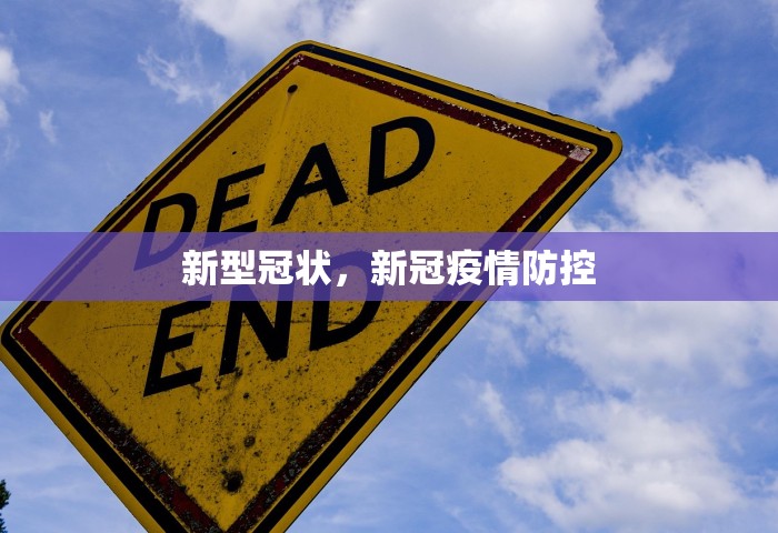 31省区市新增本土确诊3例，31省区市新增本土确诊3例