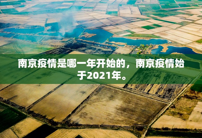南京疫情是哪一年开始的，南京疫情始于2021年	。