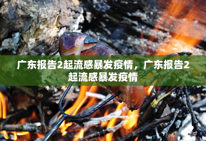 广东报告2起流感暴发疫情，广东报告2起流感暴发疫情