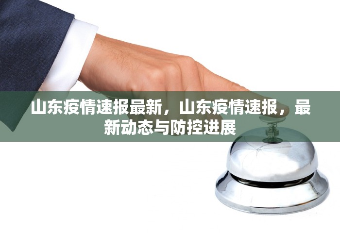 山东疫情速报最新，山东疫情速报，最新动态与防控进展