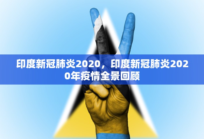 印度新冠肺炎2020	，印度新冠肺炎2020年疫情全景回顾