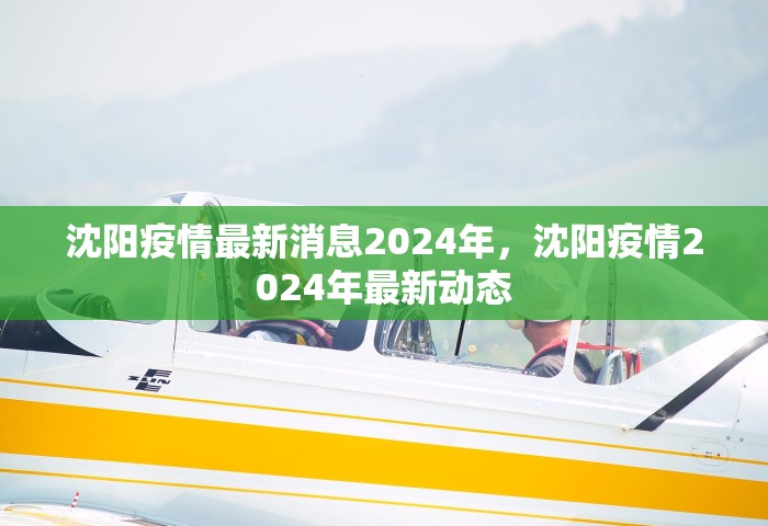 沈阳疫情最新消息2024年，沈阳疫情2024年最新动态