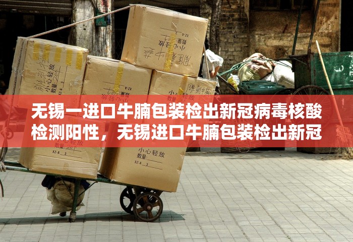 无锡一进口牛腩包装检出新冠病毒核酸检测阳性，无锡进口牛腩包装检出新冠核酸阳性