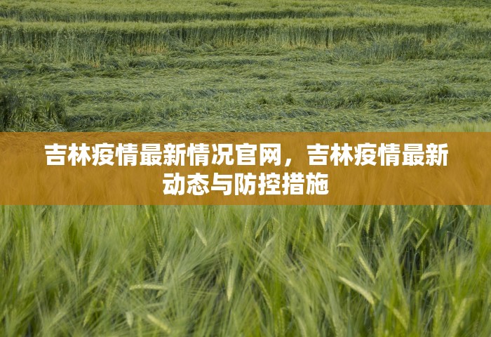 吉林疫情最新情况官网	，吉林疫情最新动态与防控措施