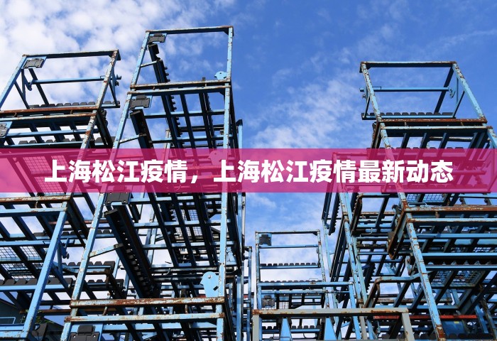 上海松江疫情，上海松江疫情最新动态