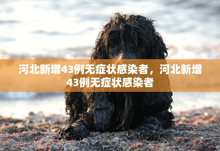 河北新增43例无症状感染者，河北新增43例无症状感染者