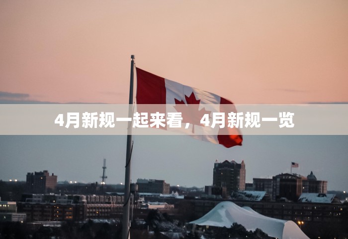 4月新规一起来看，4月新规一览