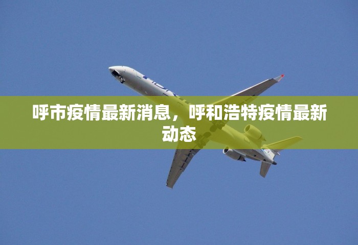 呼市疫情最新消息，呼和浩特疫情最新动态