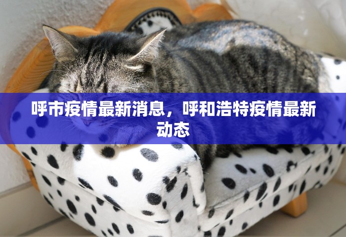 呼市疫情最新消息	，呼和浩特疫情最新动态