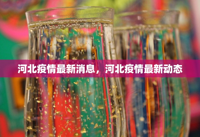 河北疫情最新消息，河北疫情最新动态