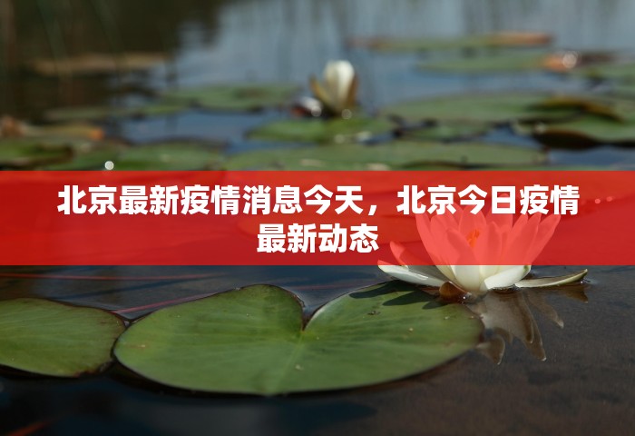 北京最新疫情消息今天	，北京今日疫情最新动态