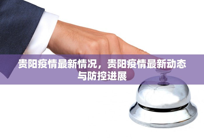 贵阳疫情最新情况，贵阳疫情最新动态与防控进展