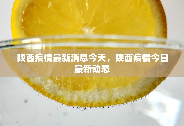 陕西疫情最新消息今天，陕西疫情今日最新动态