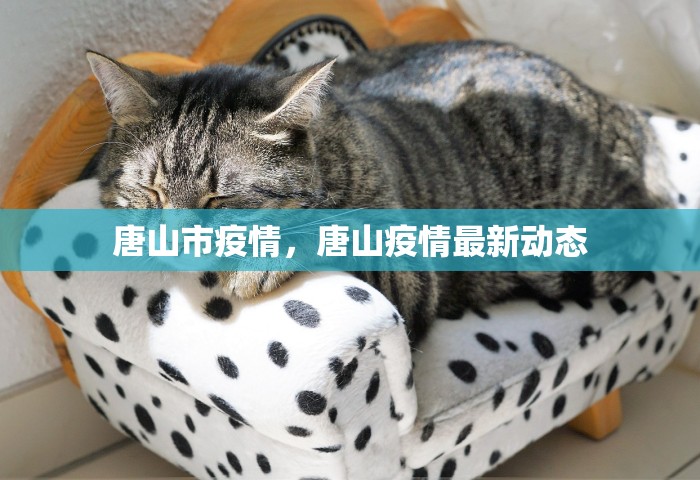 唐山市疫情，唐山疫情最新动态