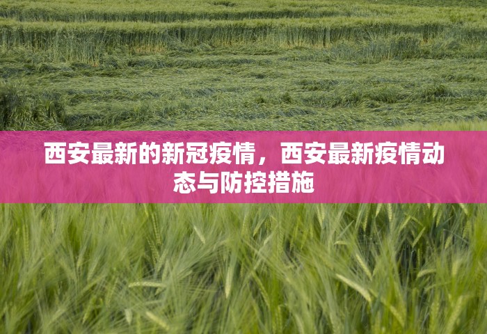 西安最新的新冠疫情，西安最新疫情动态与防控措施