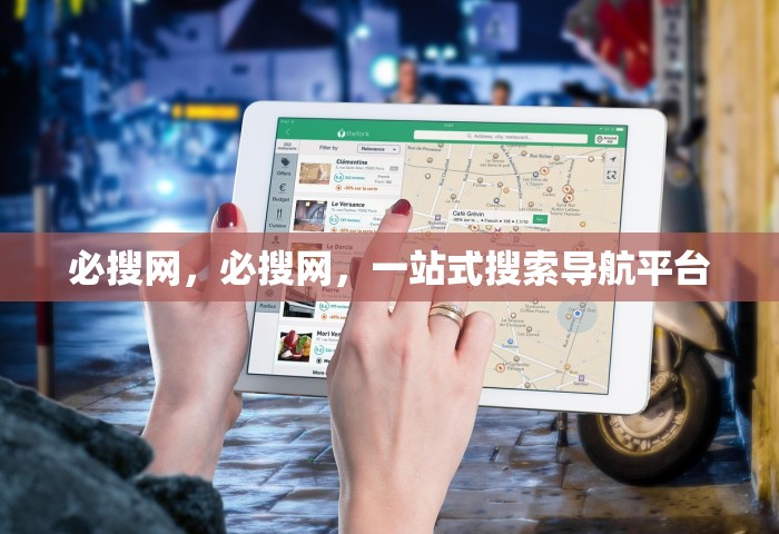必搜网，必搜网，一站式搜索导航平台