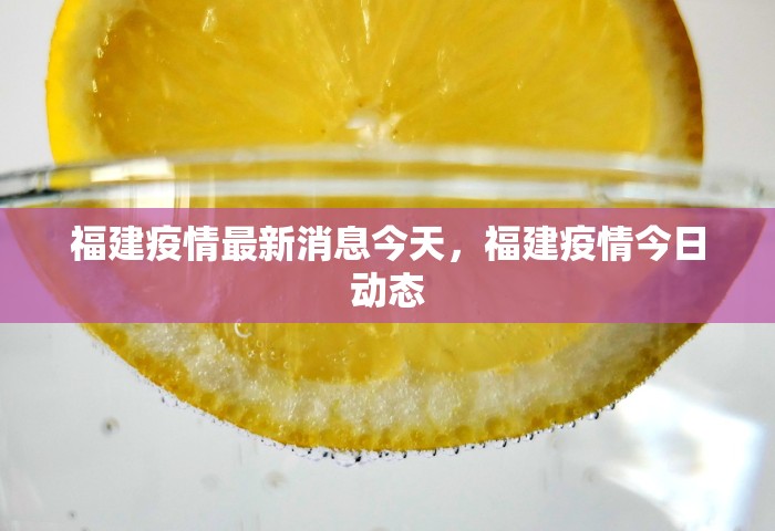 福建疫情最新消息今天，福建疫情今日动态