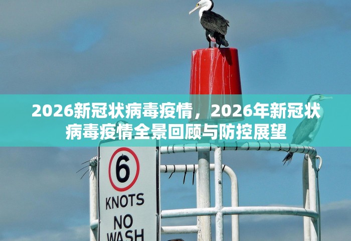 2026新冠状病毒疫情，2026年新冠状病毒疫情全景回顾与防控展望