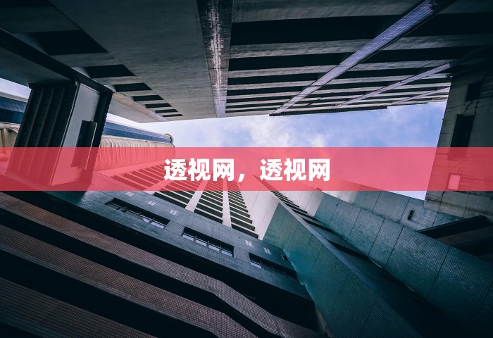 透视网	，透视网